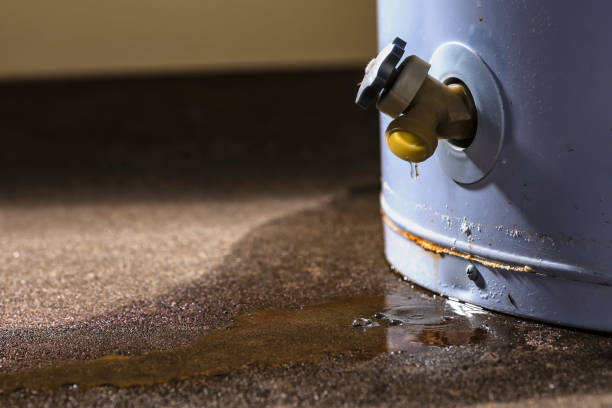 Best Water damage restoration near me  in Hartsville, TN