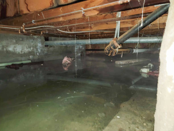 Best Sewage cleanup and water damage restoration  in Hartsville, TN