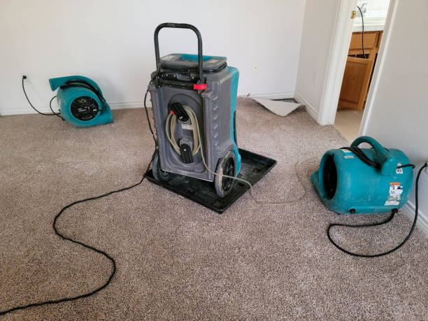 Best Water damage restoration cost  in Hartsville, TN
