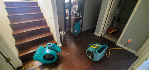 Best Water damage restoration services  in Hartsville, TN