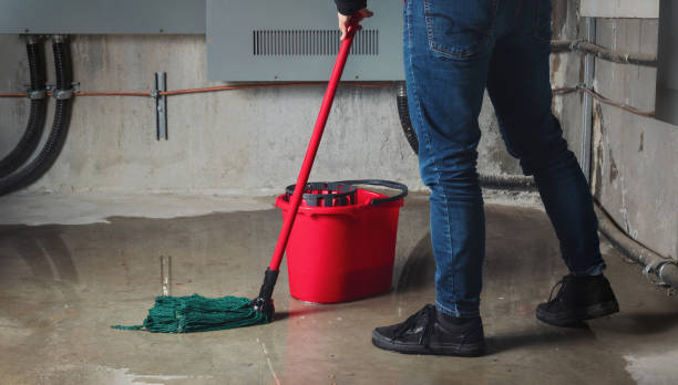 Best Water damage cleanup near me  in Hartsville, TN