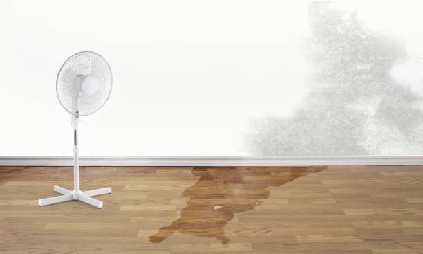Best Basement water damage restoration  in Hartsville, TN