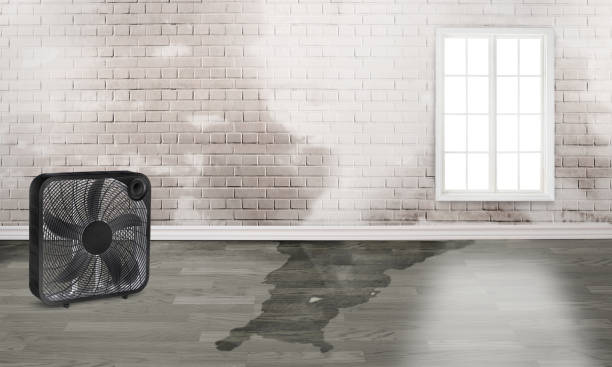 Reliable Hartsville, TN Water damage restoration Solutions