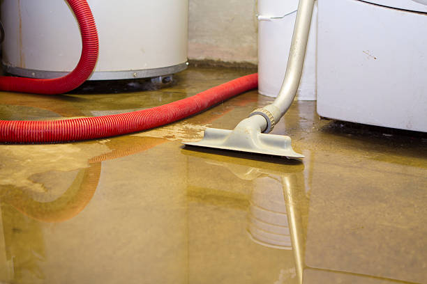 Best 24-hour water damage restoration  in Hartsville, TN