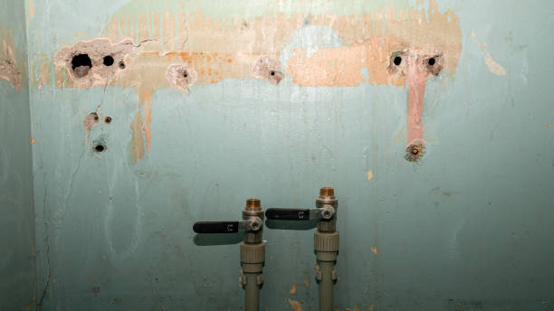 Best Water damage restoration near me  in Hartsville, TN
