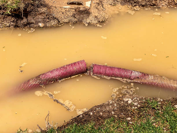 Best Residential water damage restoration  in Hartsville, TN