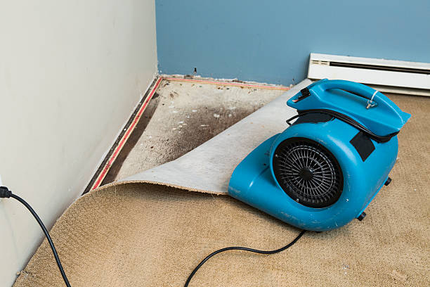 Best Water damage repair service  in Hartsville, TN